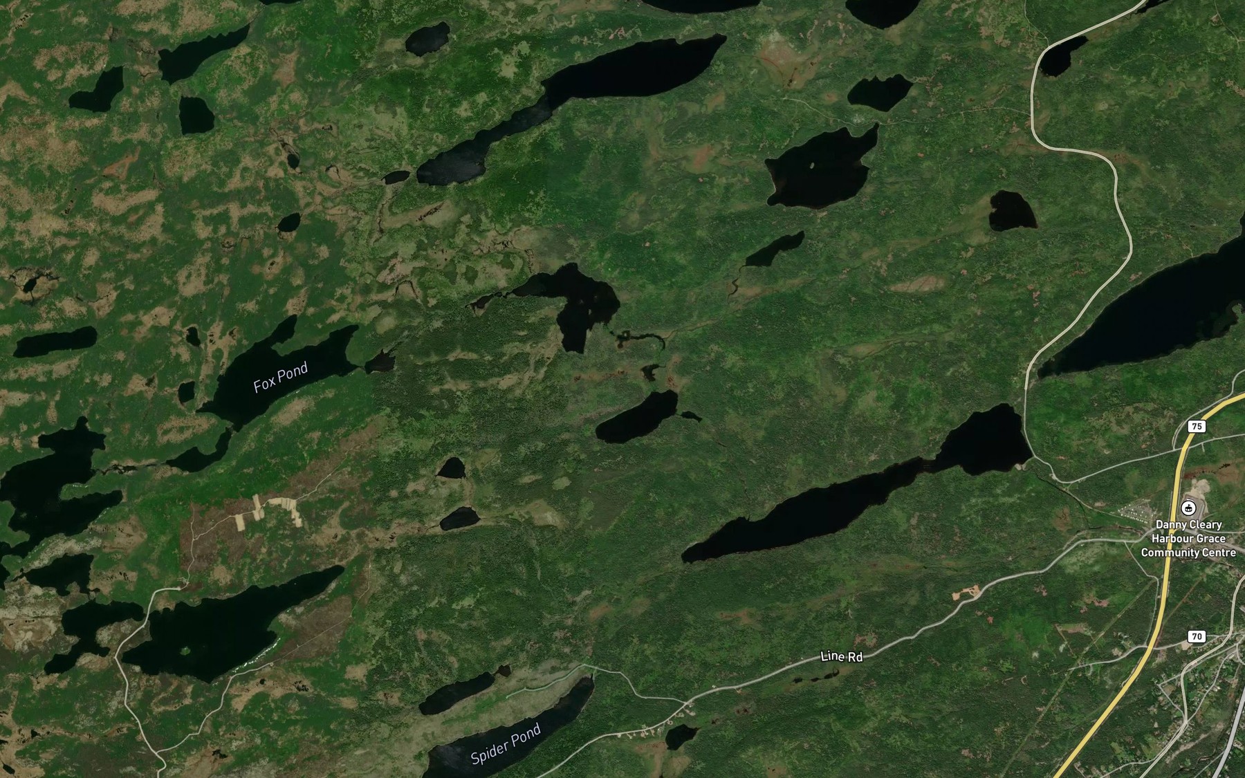 Satellite map of the Andersons Pond