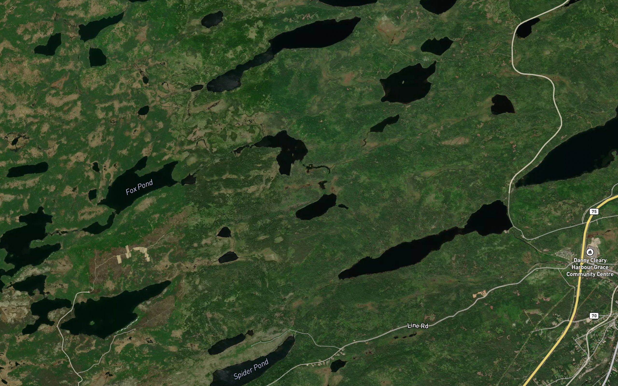 Andersons Pond