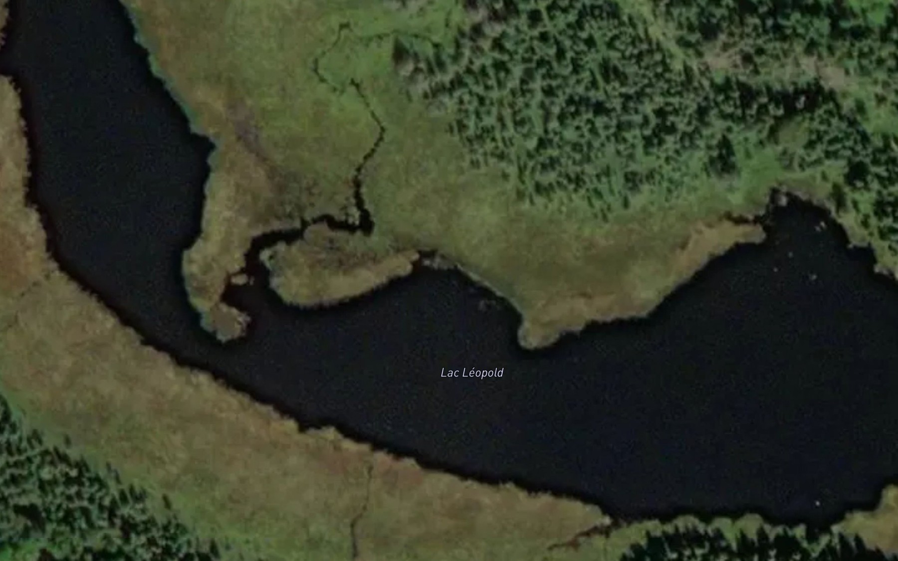 Satellite map of the Lac Leopold