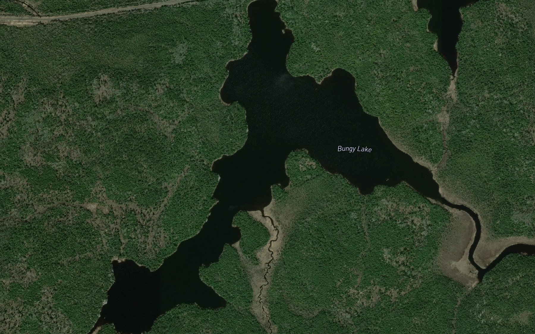Satellite map of the Bungy Lake