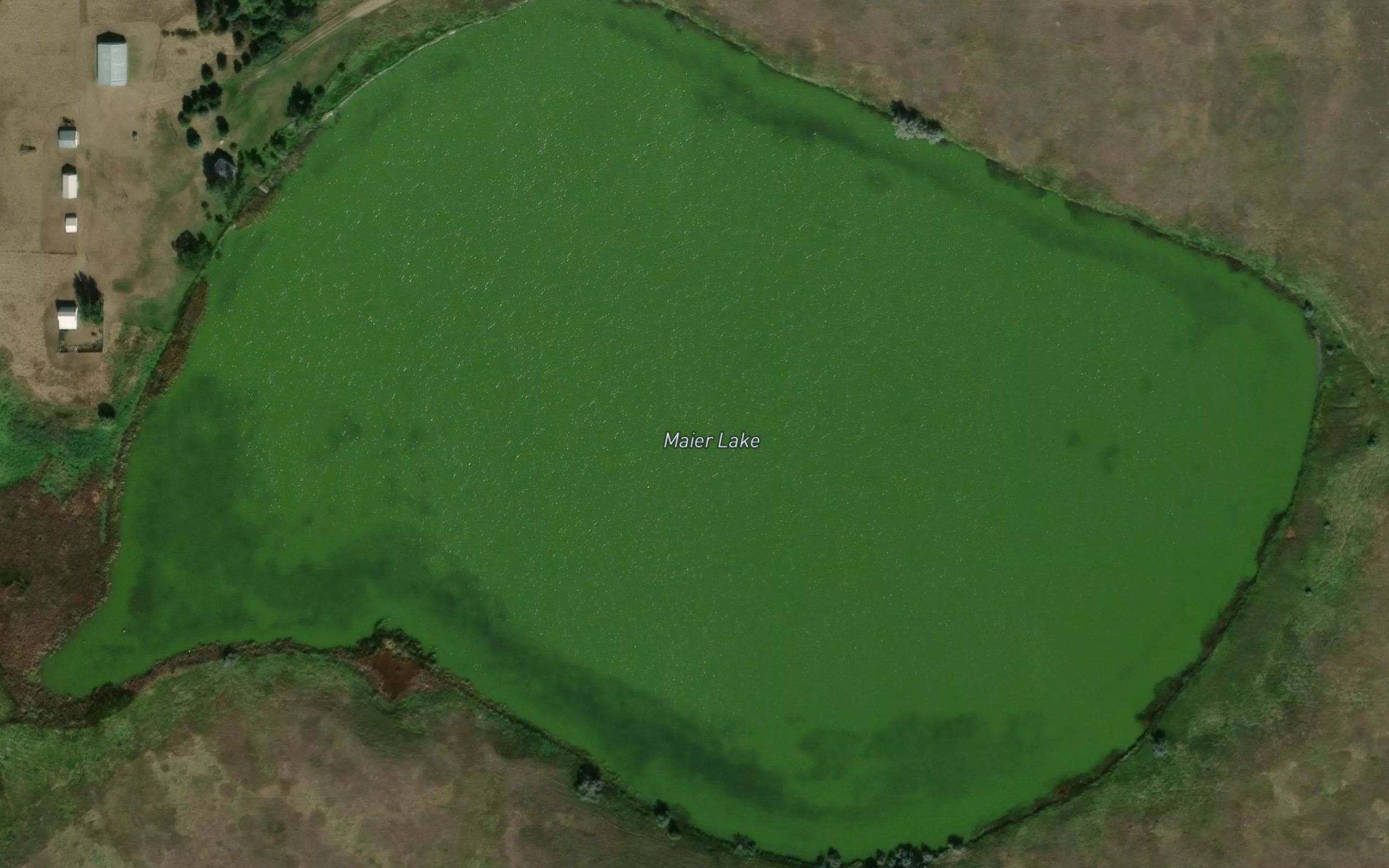 Maier Lake