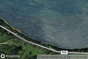 Kjuklingen