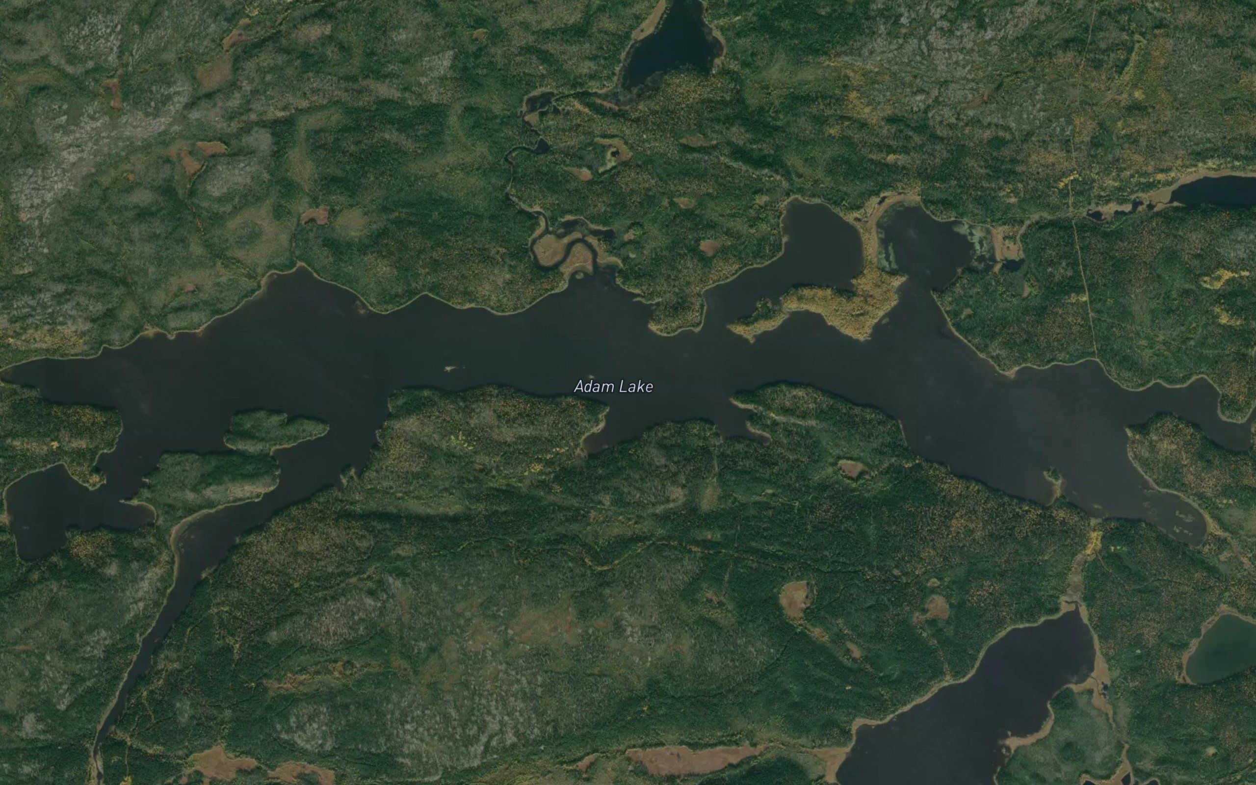Adam Lake