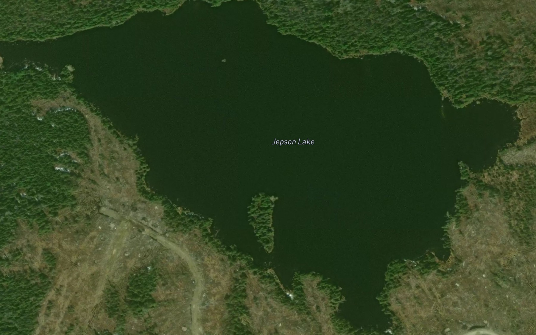 Satellite map of the Jepson Lake