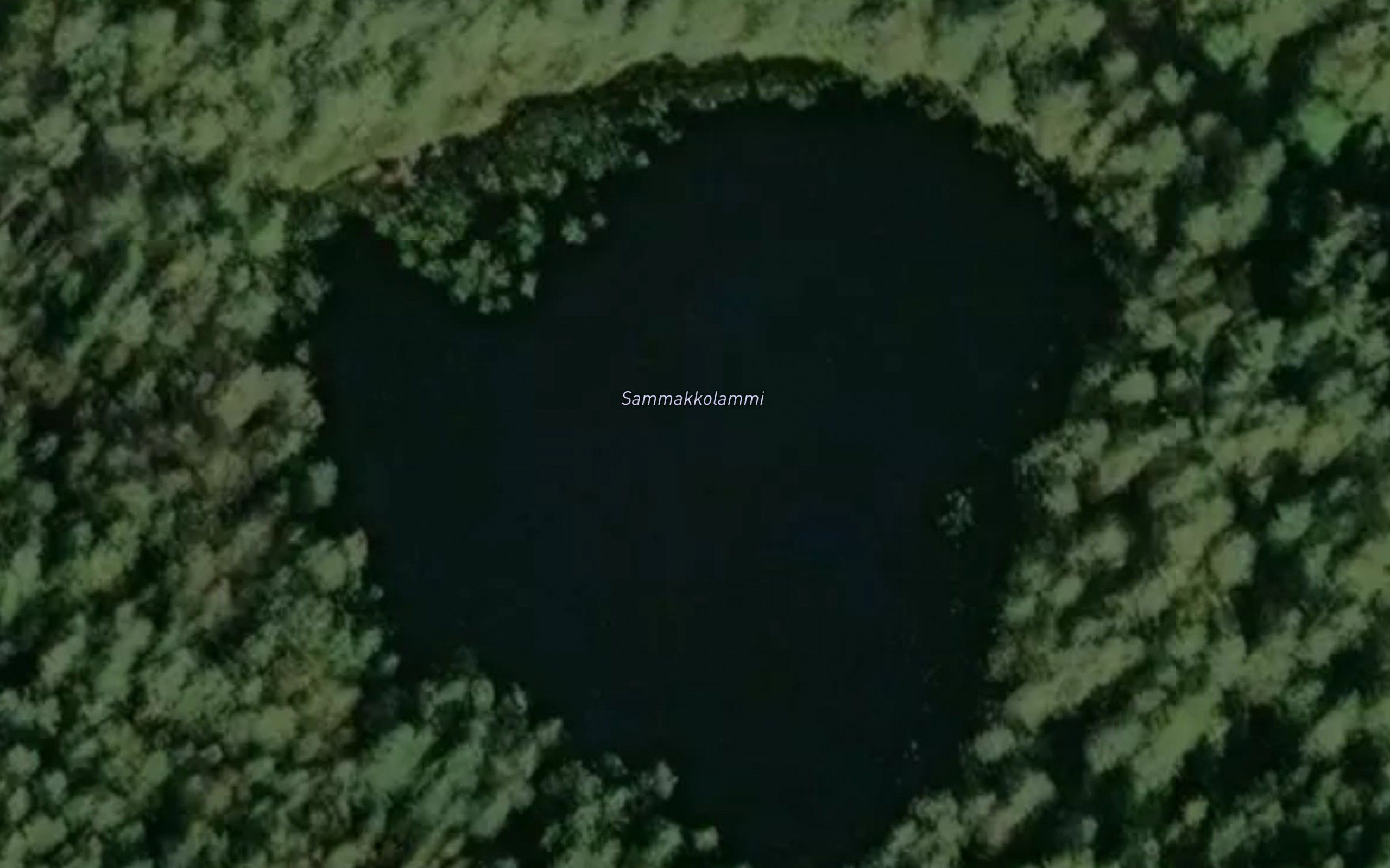 Sammakkolammi