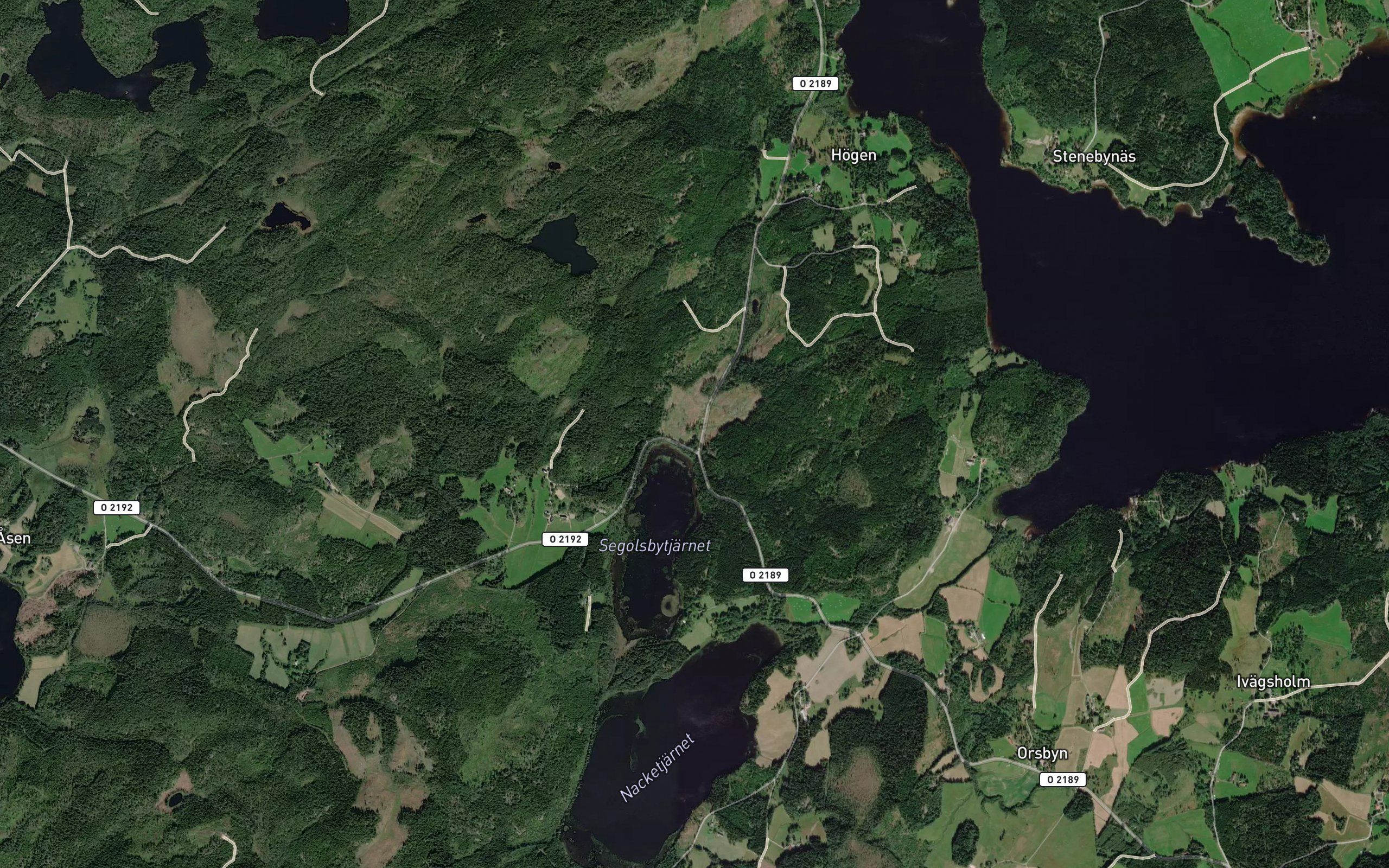 Segolsbytjarn