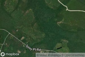 South Branch Burrs Mill Brook