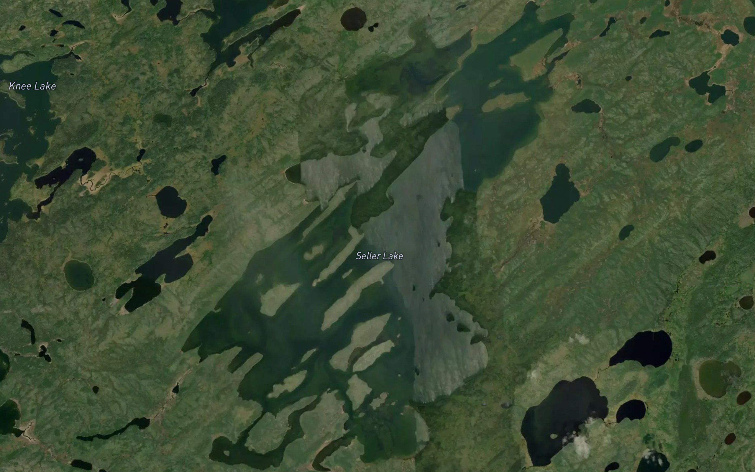 Seller Lake