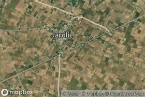 Jaroli Minor
