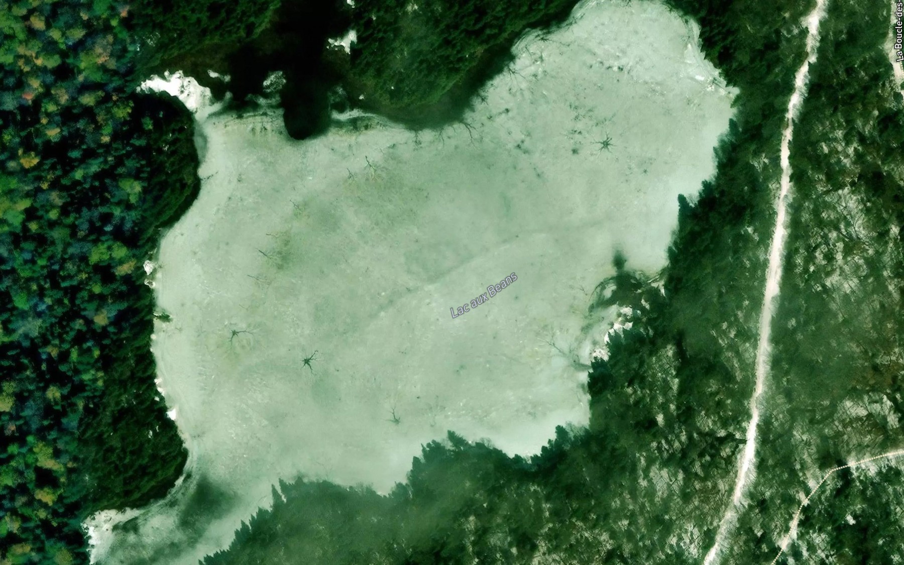 Satellite map of the Lac aux Beans