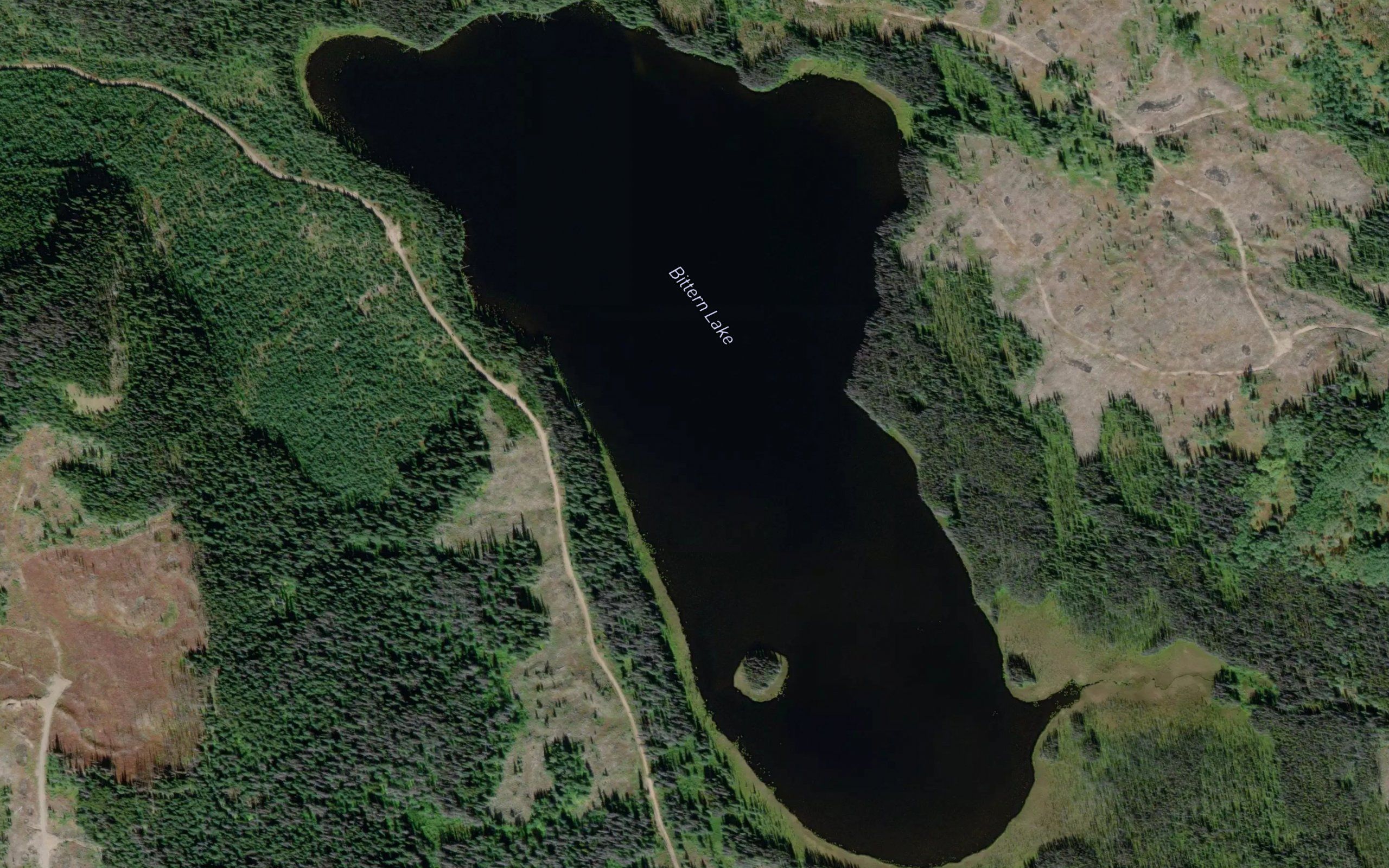 Bittern Lake