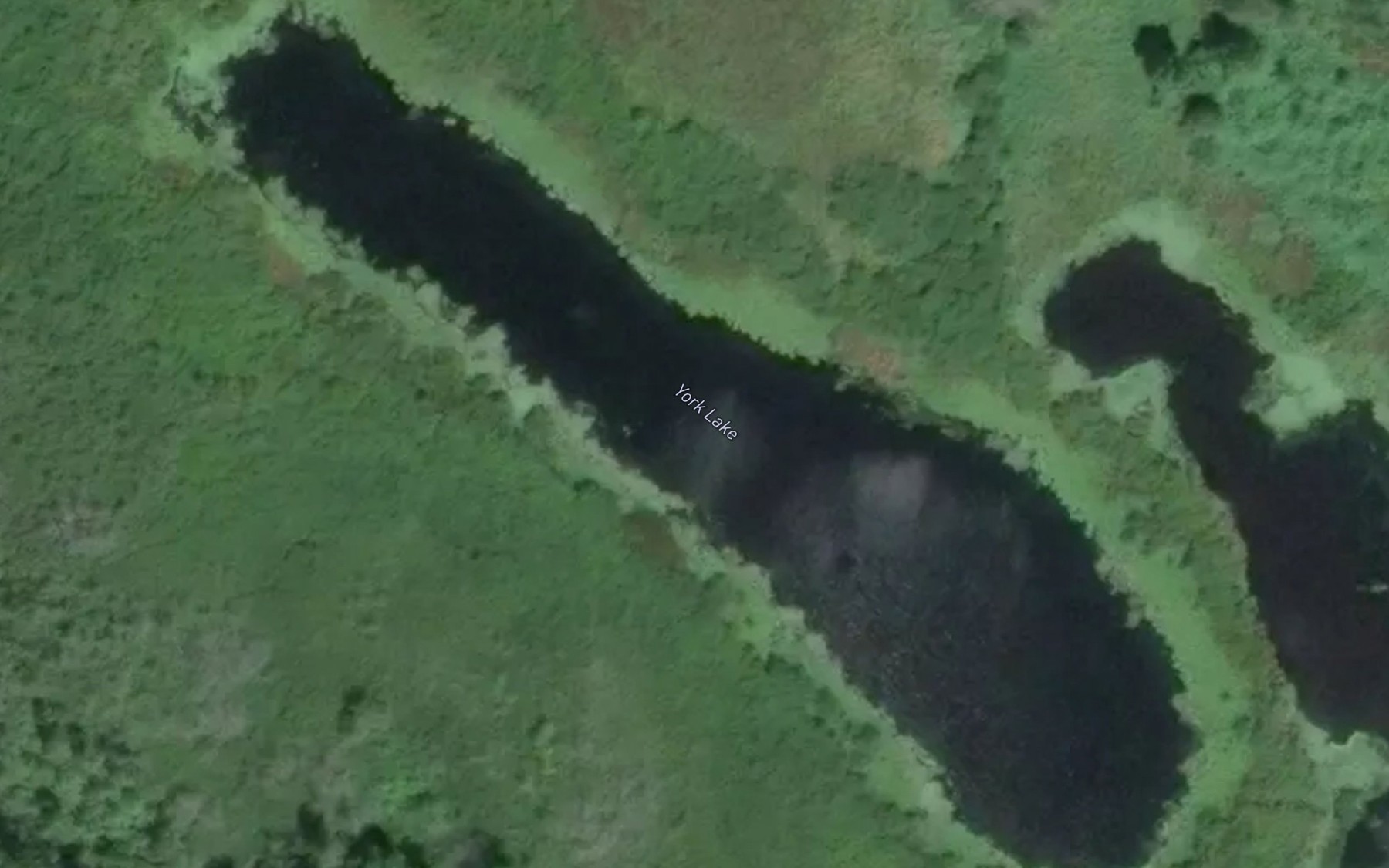 Satellite map of the York Lake