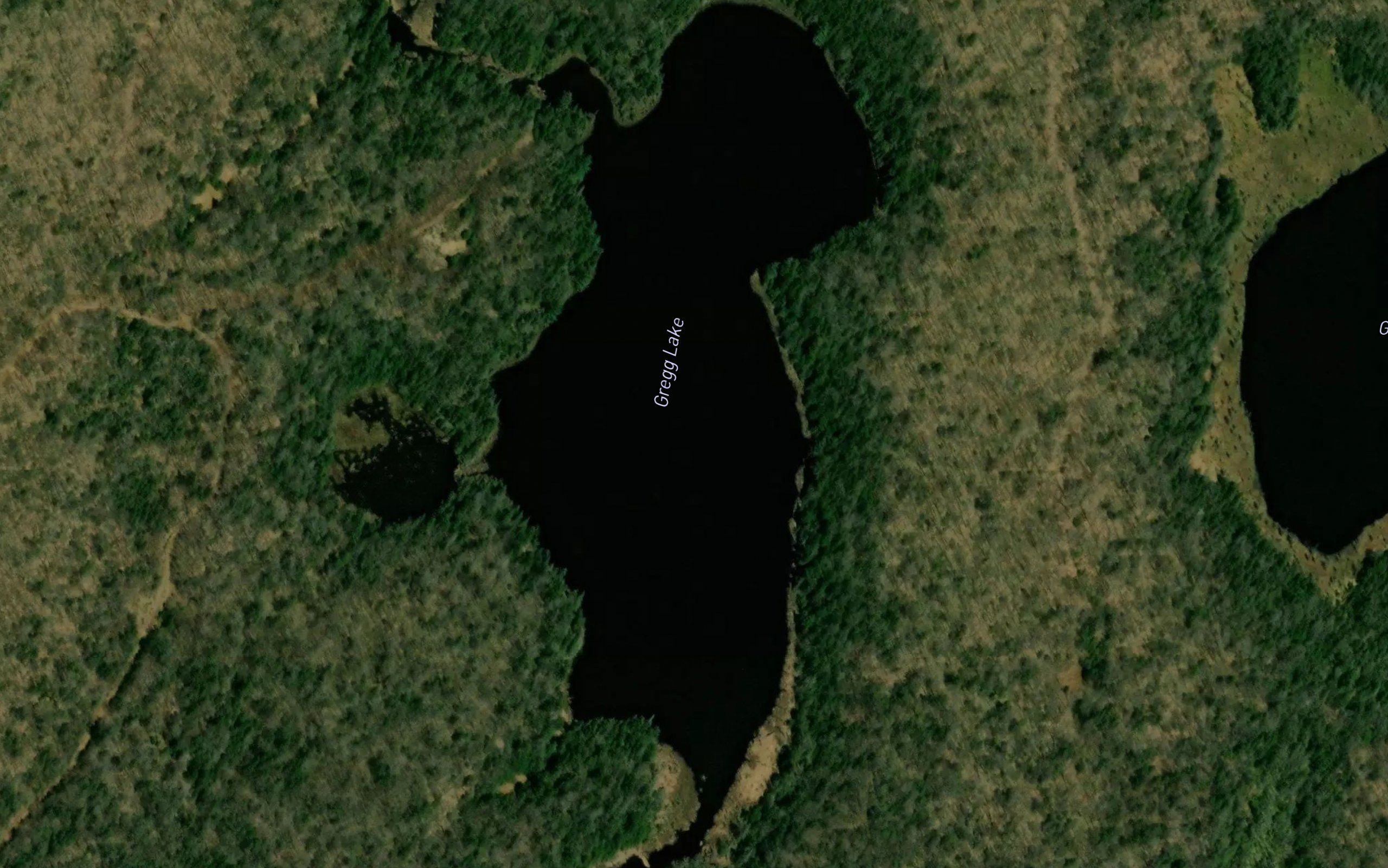 Gregg Lake