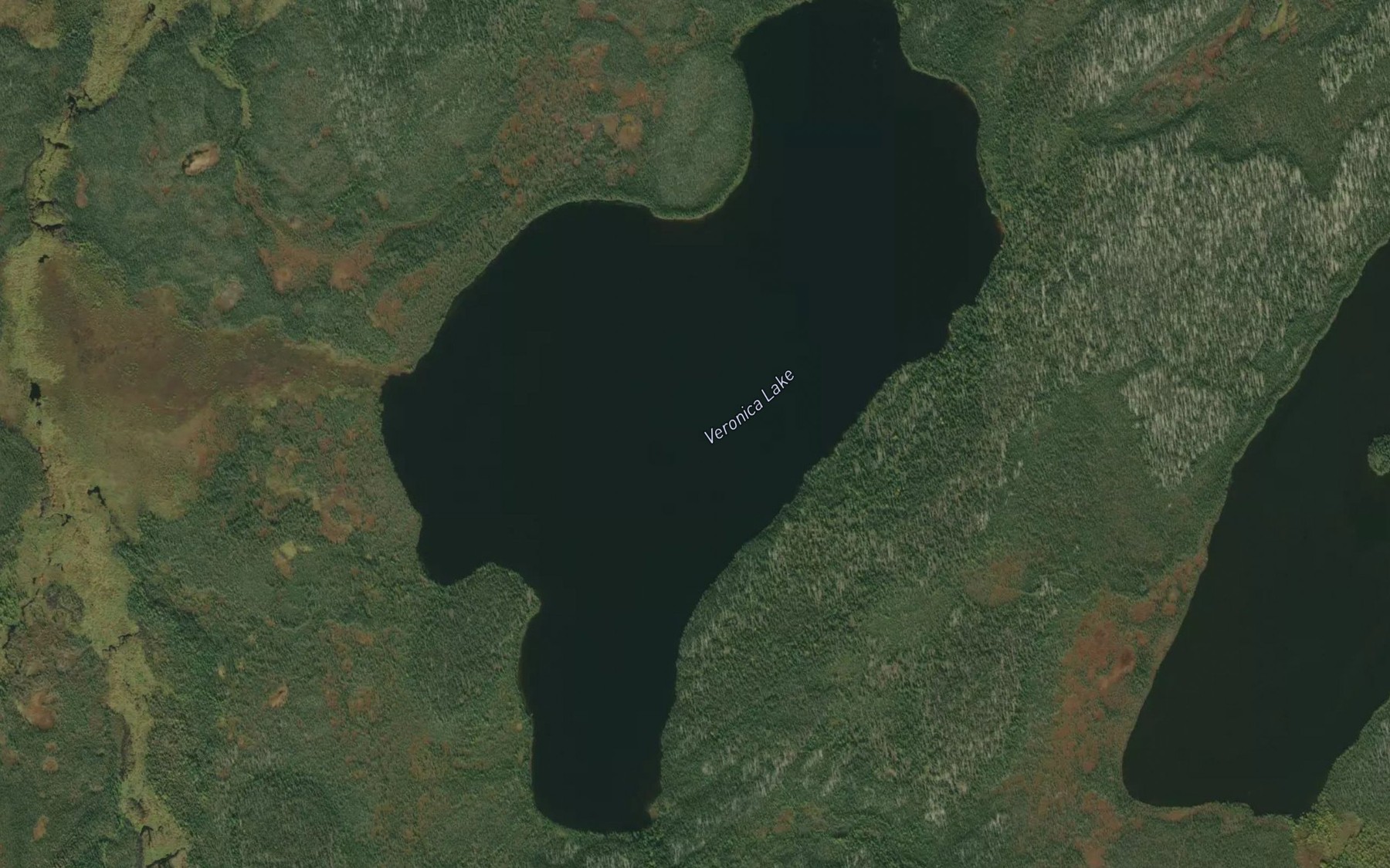 Satellite map of the Veronica Lake