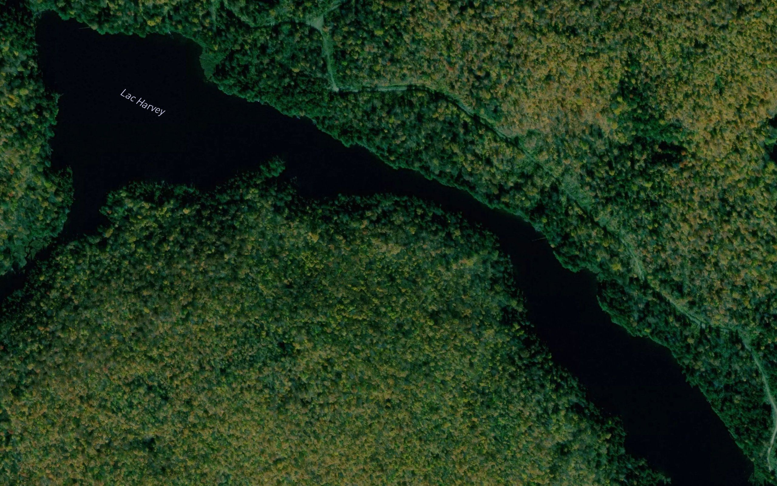 Lac Harvey