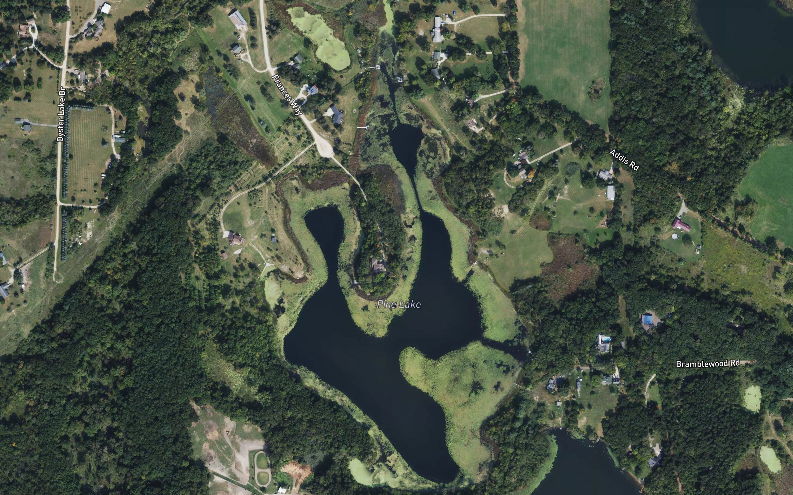 Pine Lake