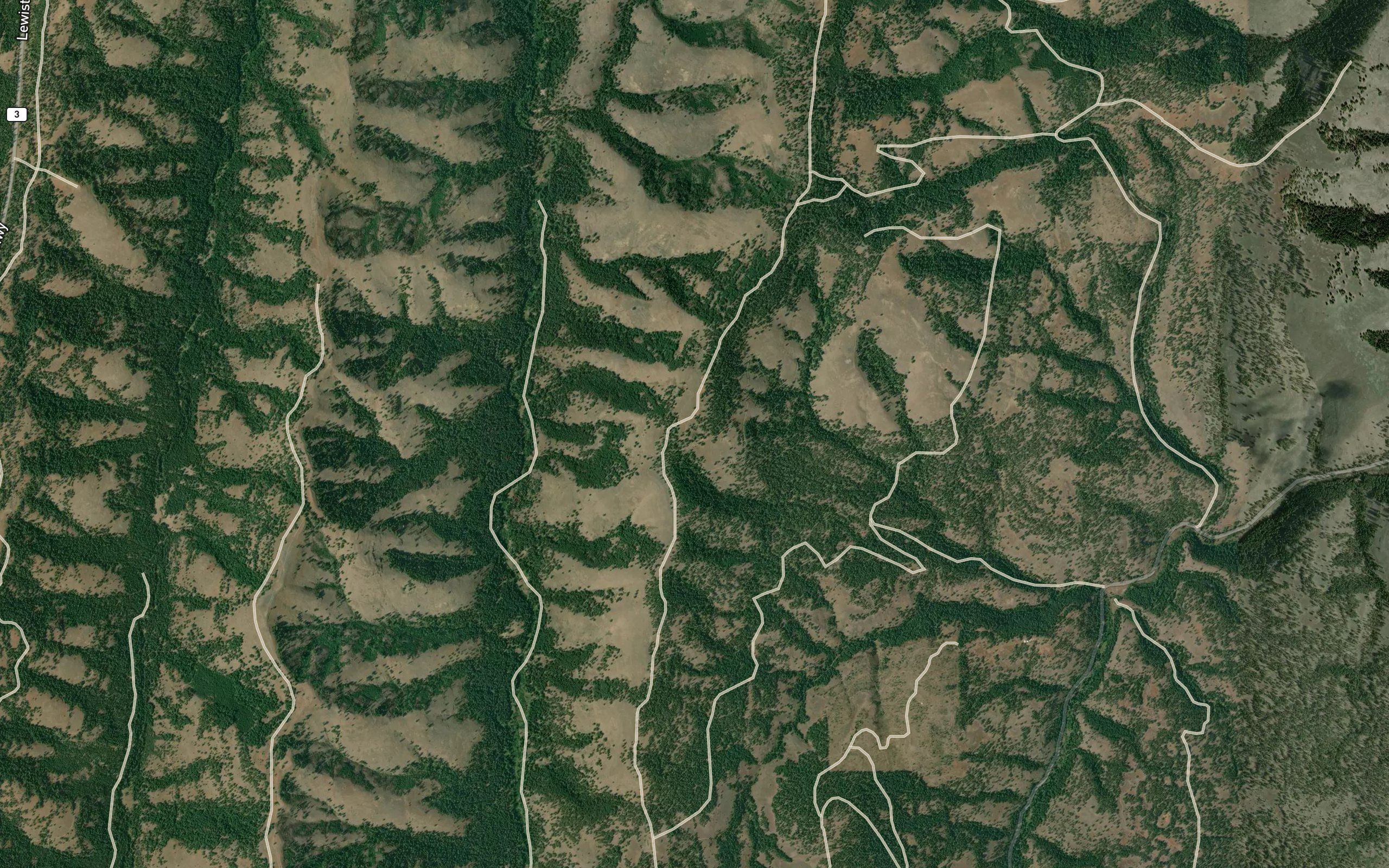 Elk Spring
