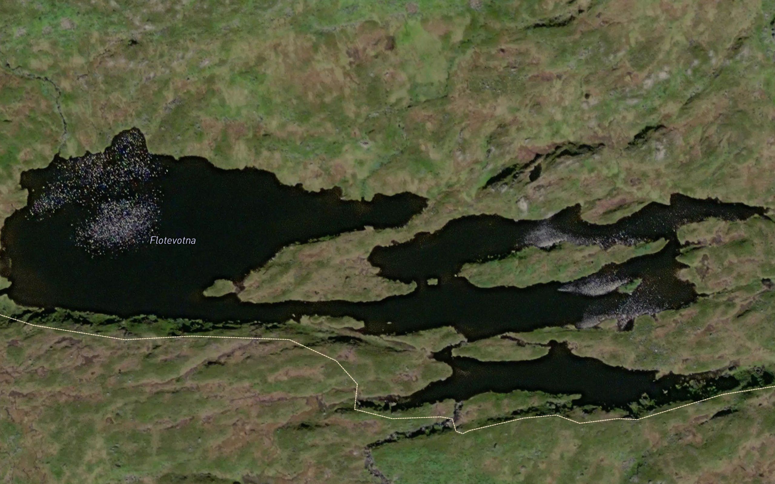 Flotevotna