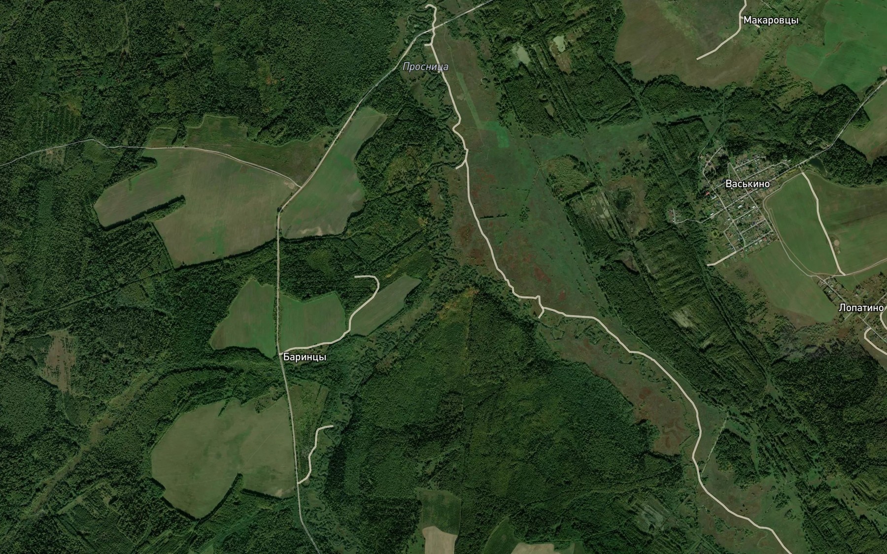 Satellite map of the Volma