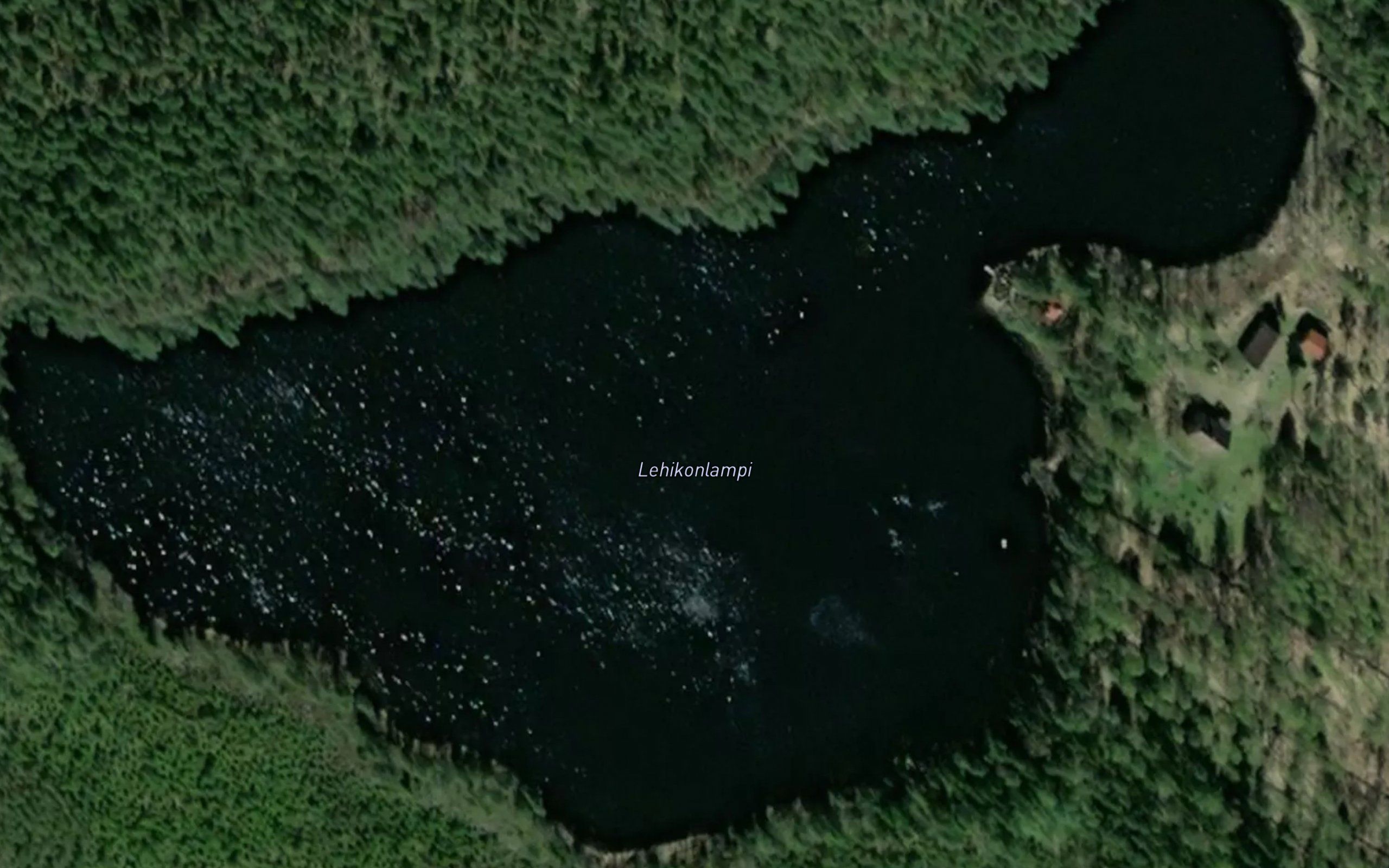 Lehikonlampi