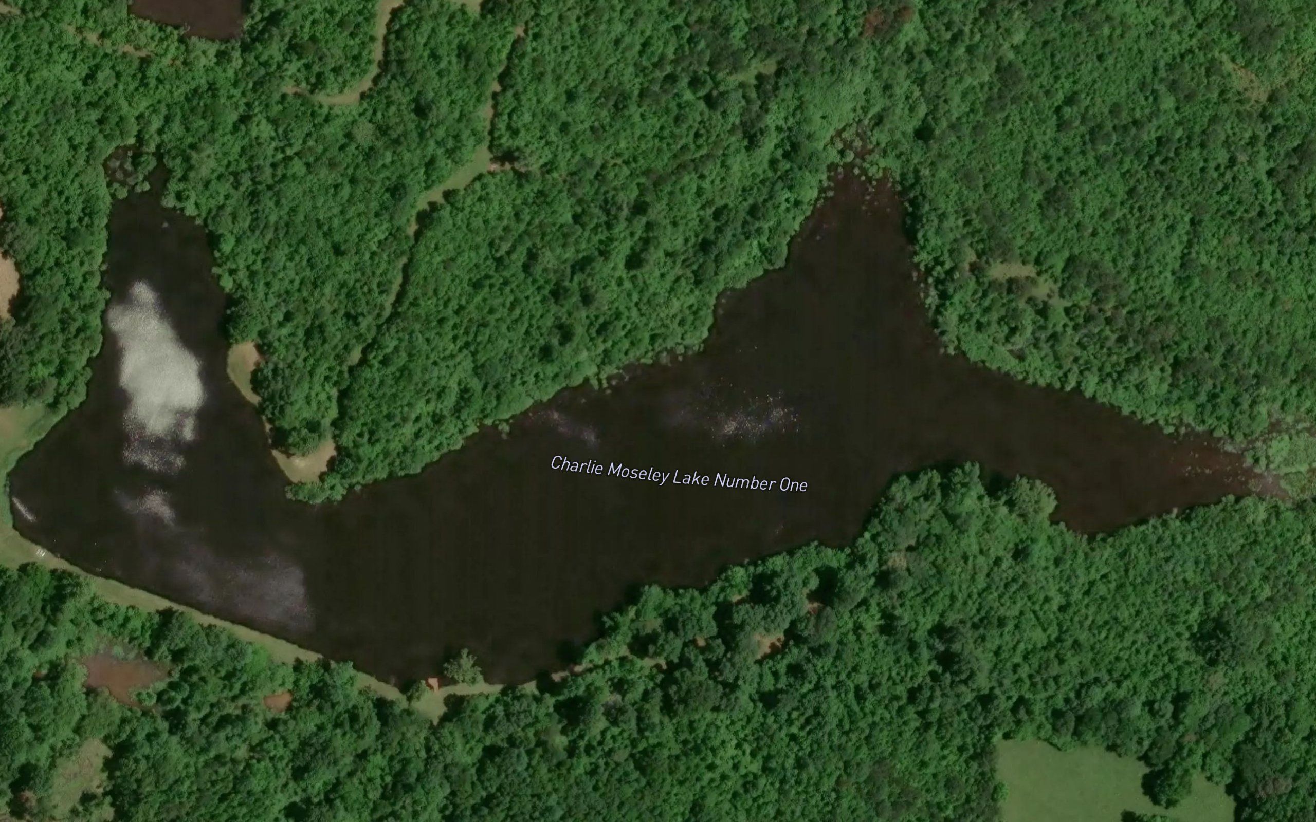 Charlie Moseley Lake Number One