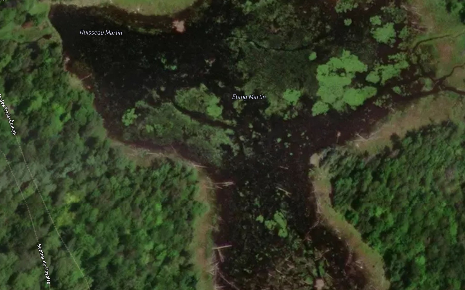 Satellite map of the Etang Martin