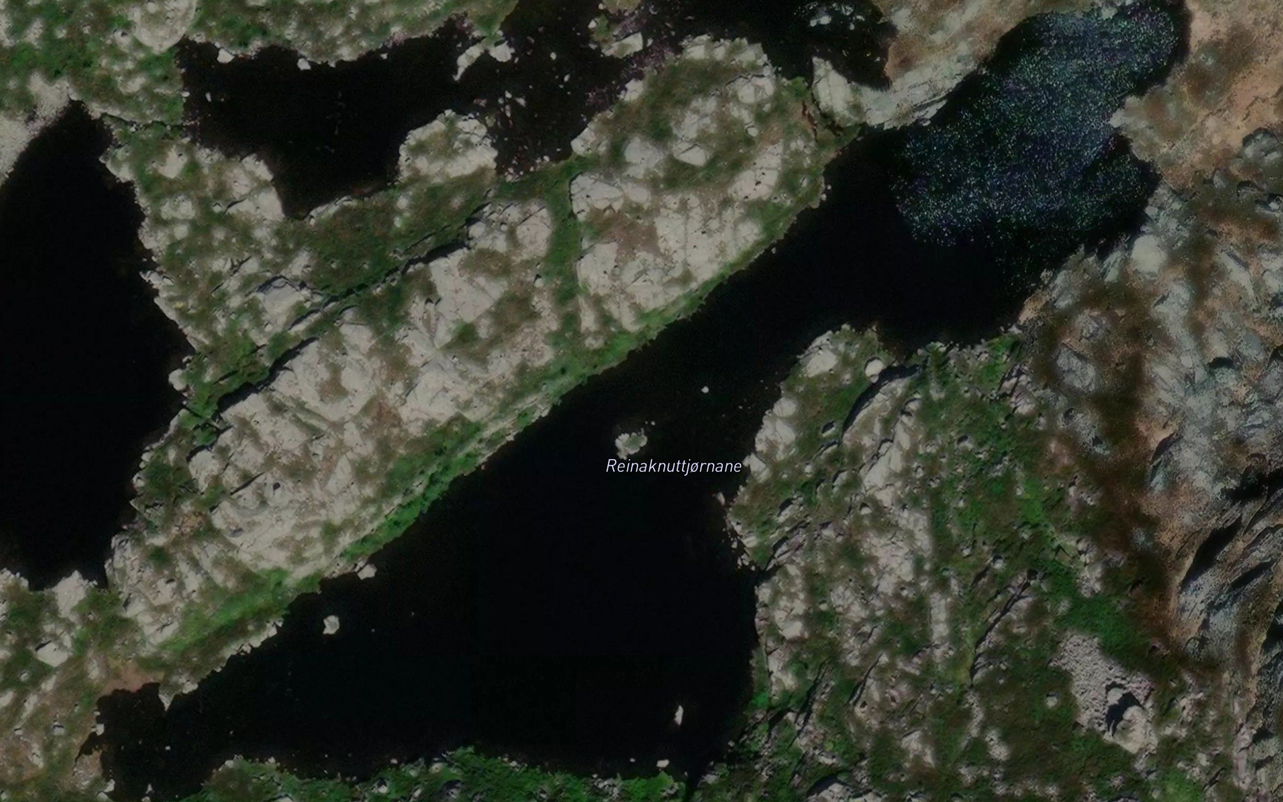 Reinaknuttjornane