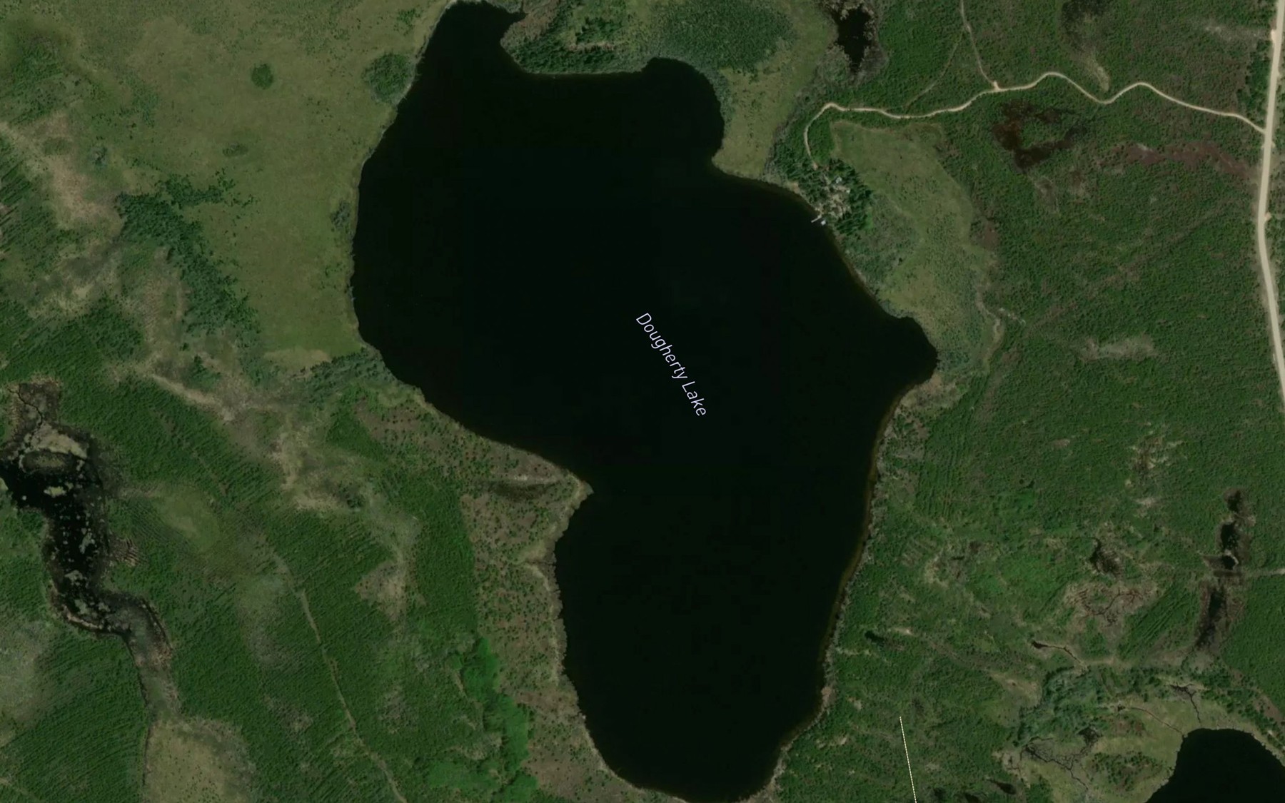 Satellite map of the Dougherty Lake