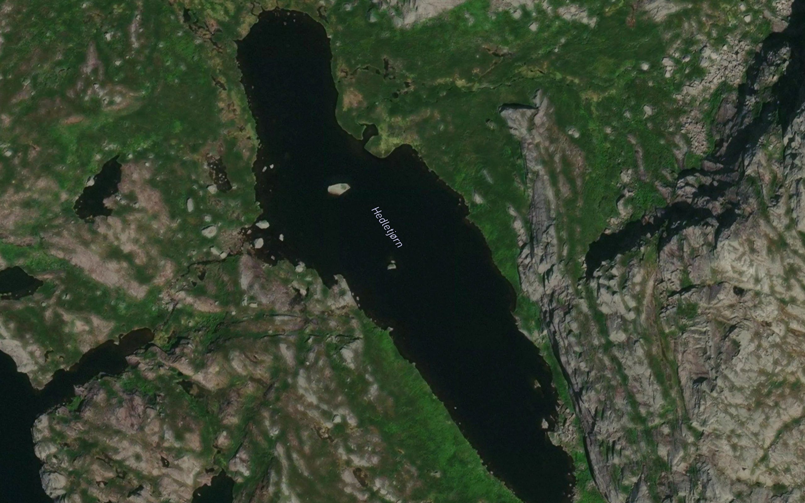 Hedletjorn