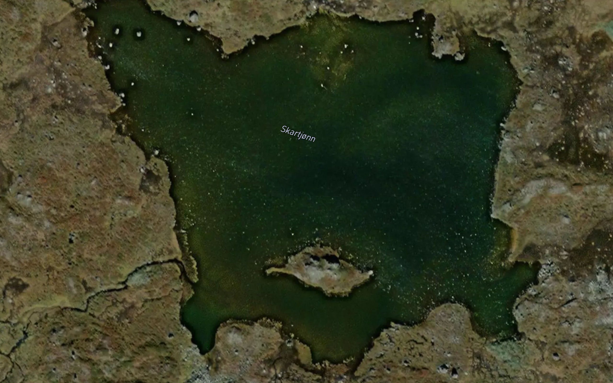 Skardtjorn