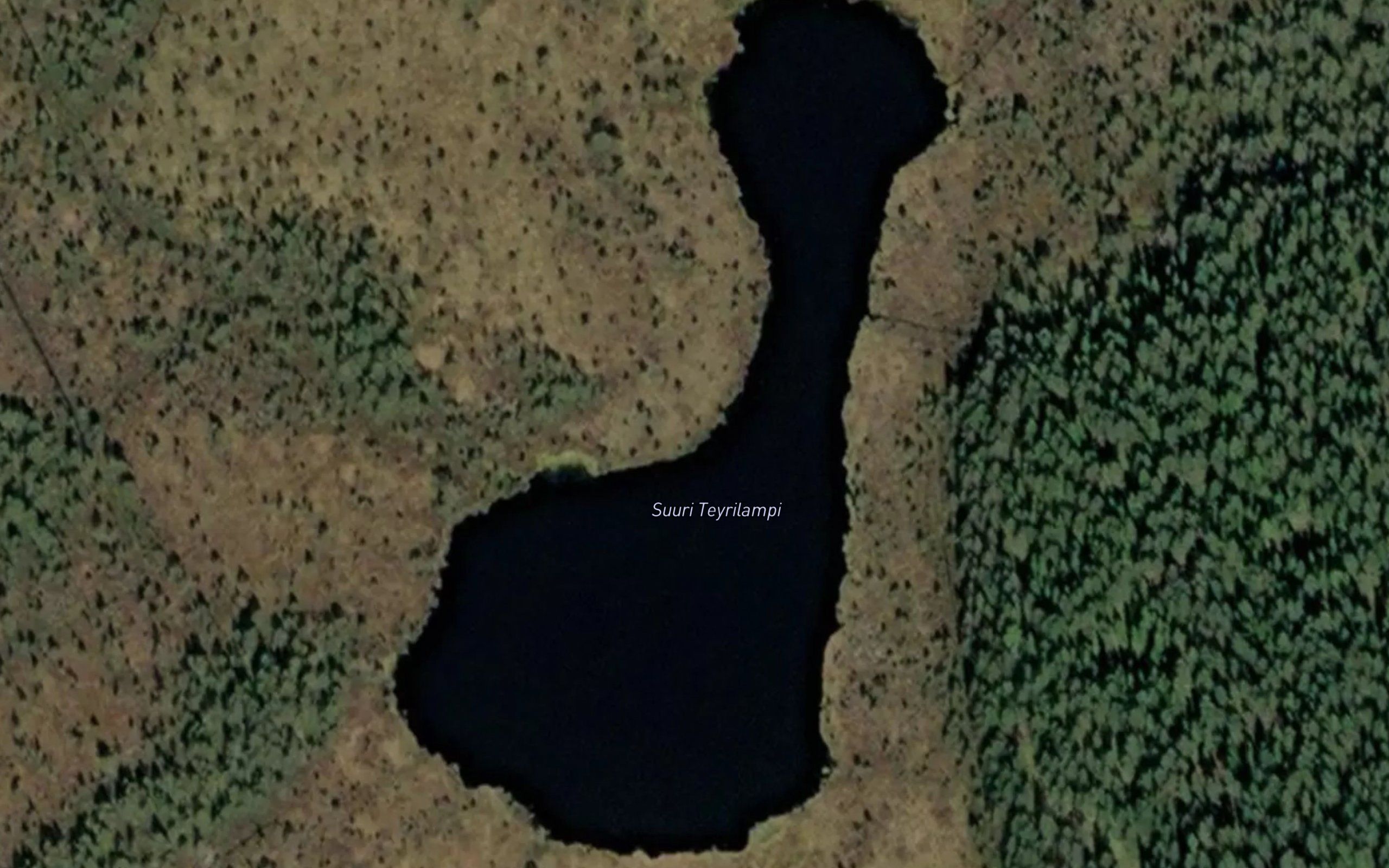 Suuri Teyrilampi