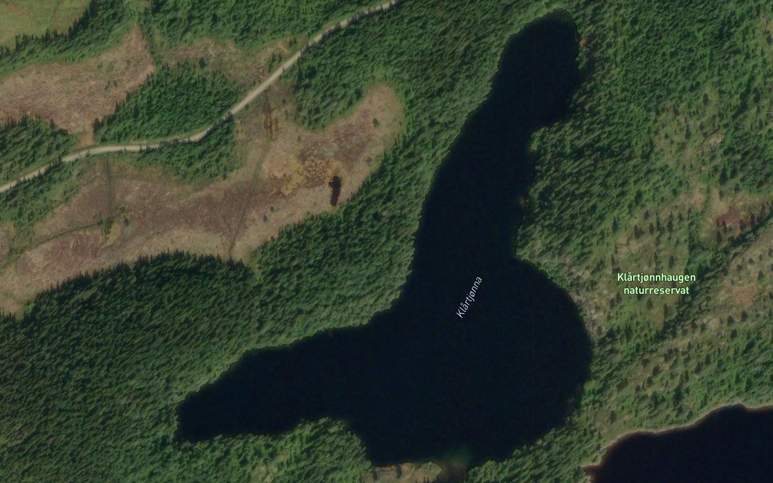 Klartjorna