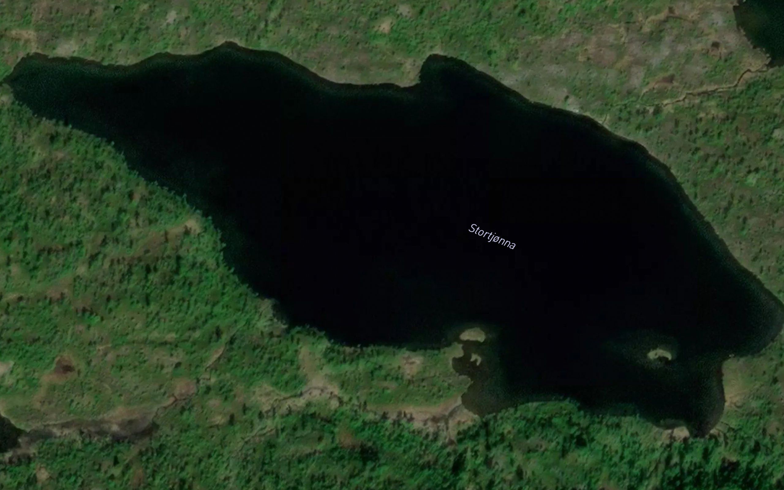 Stortjorna