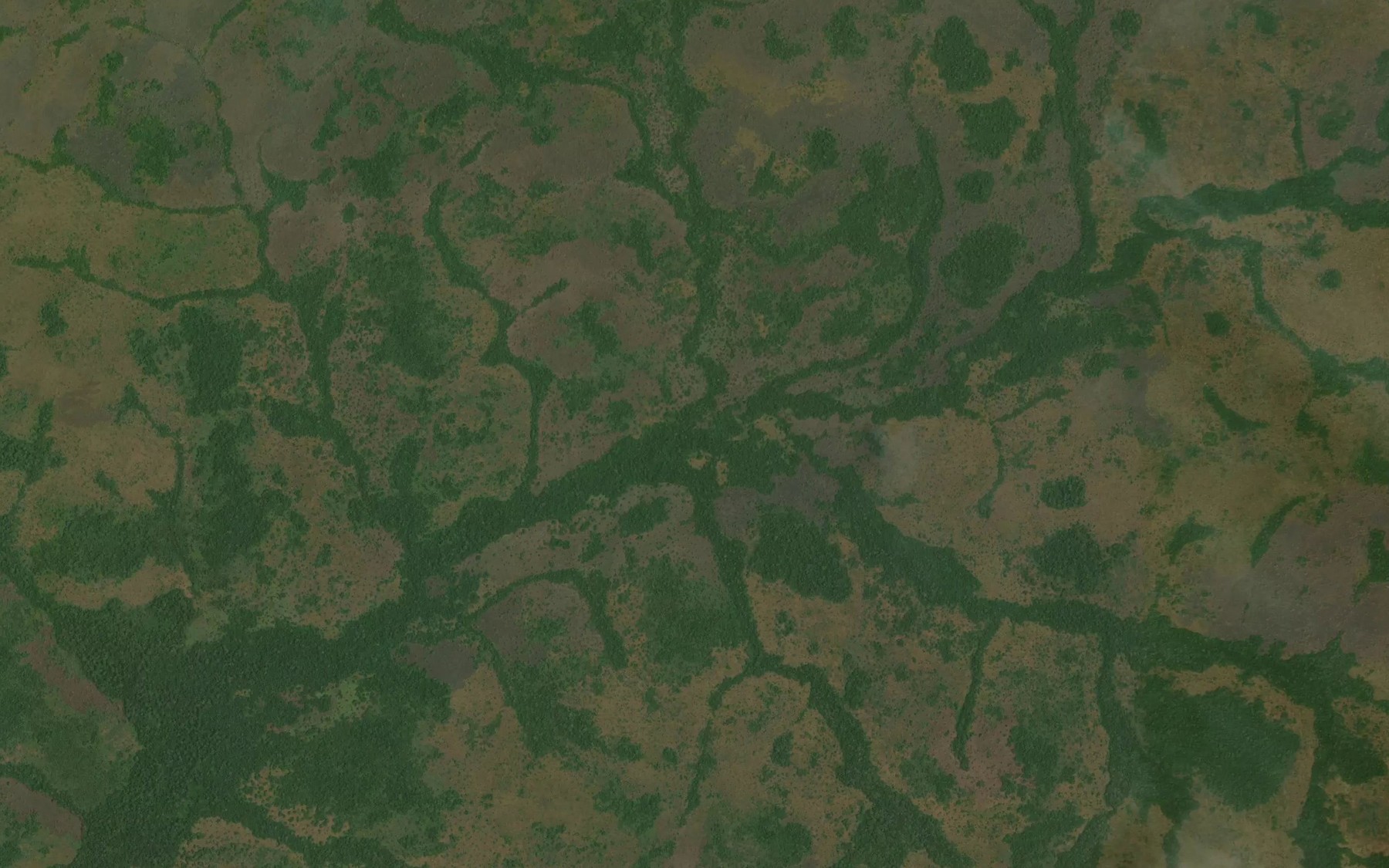 Satellite map of the Yolo