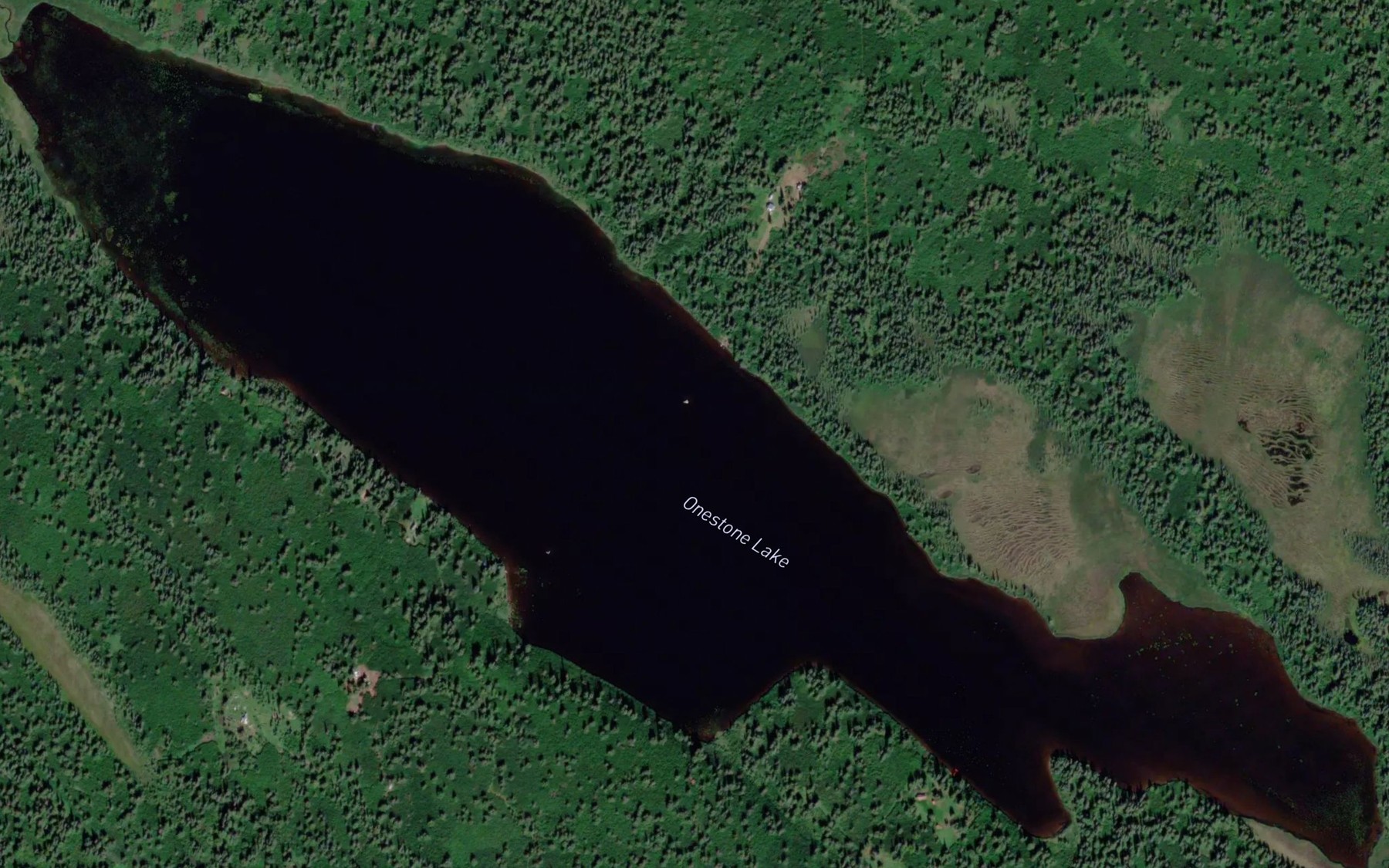 Satellite map of the Onestone Lake