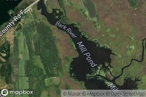 Rome Pond 114