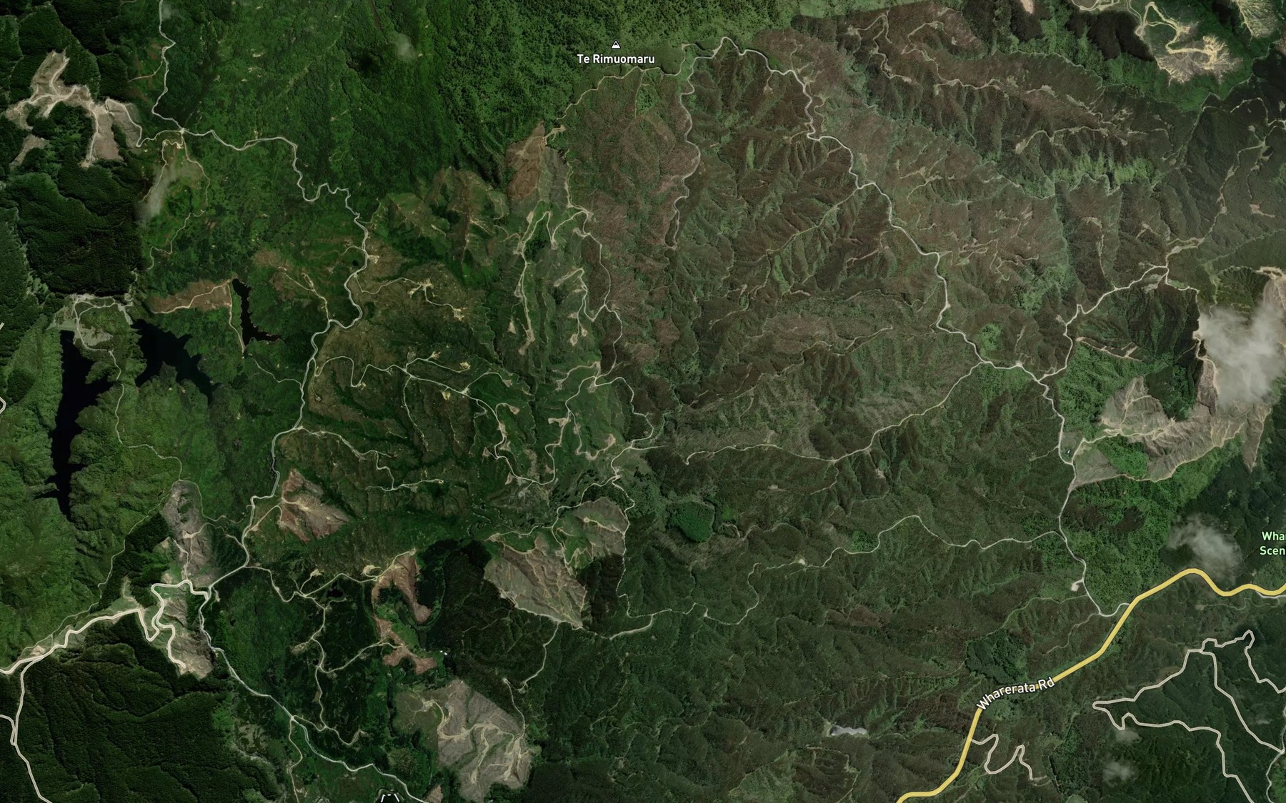 Satellite map of the Puninga Stream