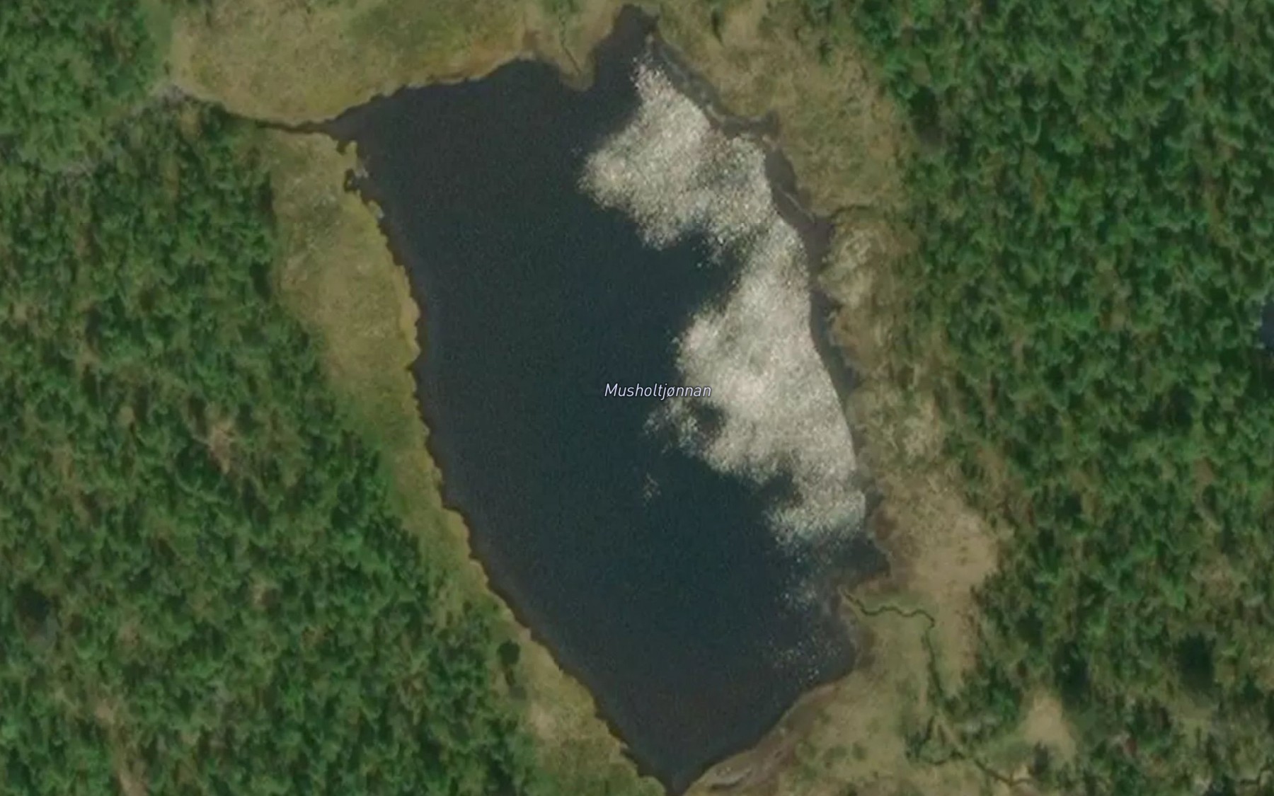 Satellite map of the Musholtjonnan
