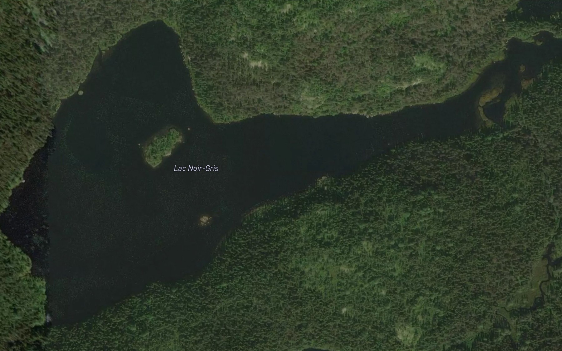 Satellite map of the Lac Noir-Gris