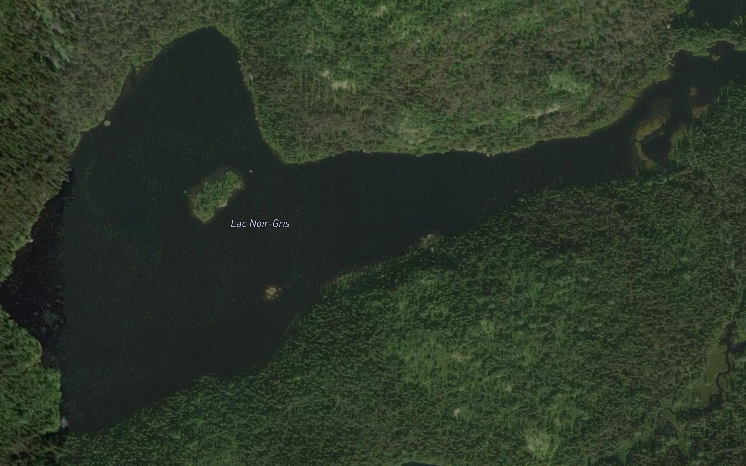 Lac Noir-Gris