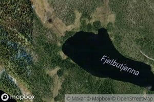Fjolbutjonna