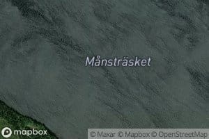Manstrasket