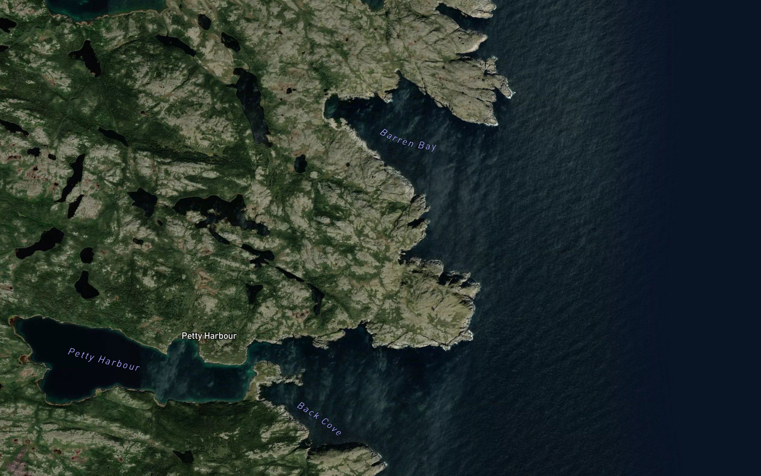 Salmon Bight