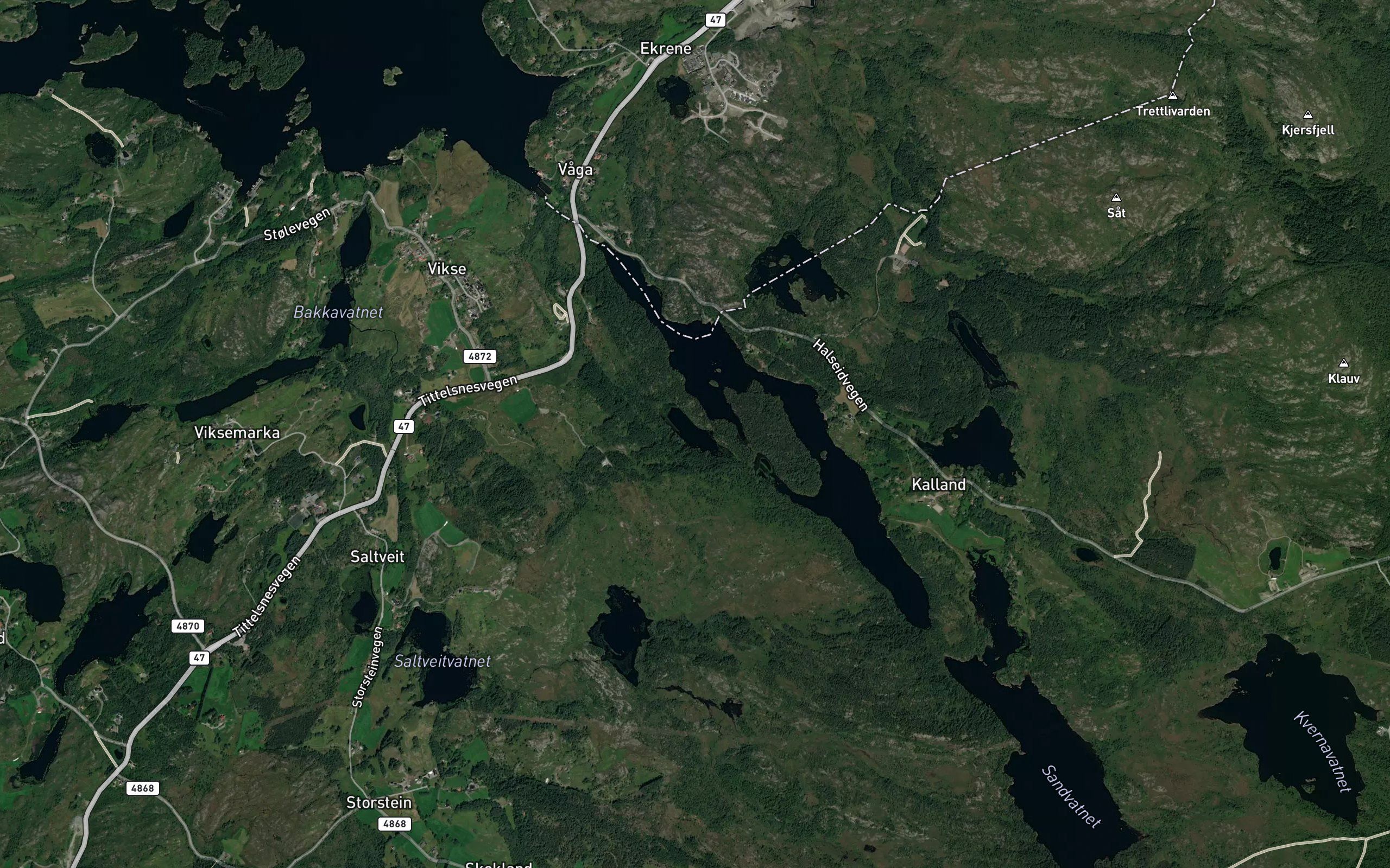 Dyrtjorn