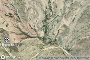 Javalina Creek
