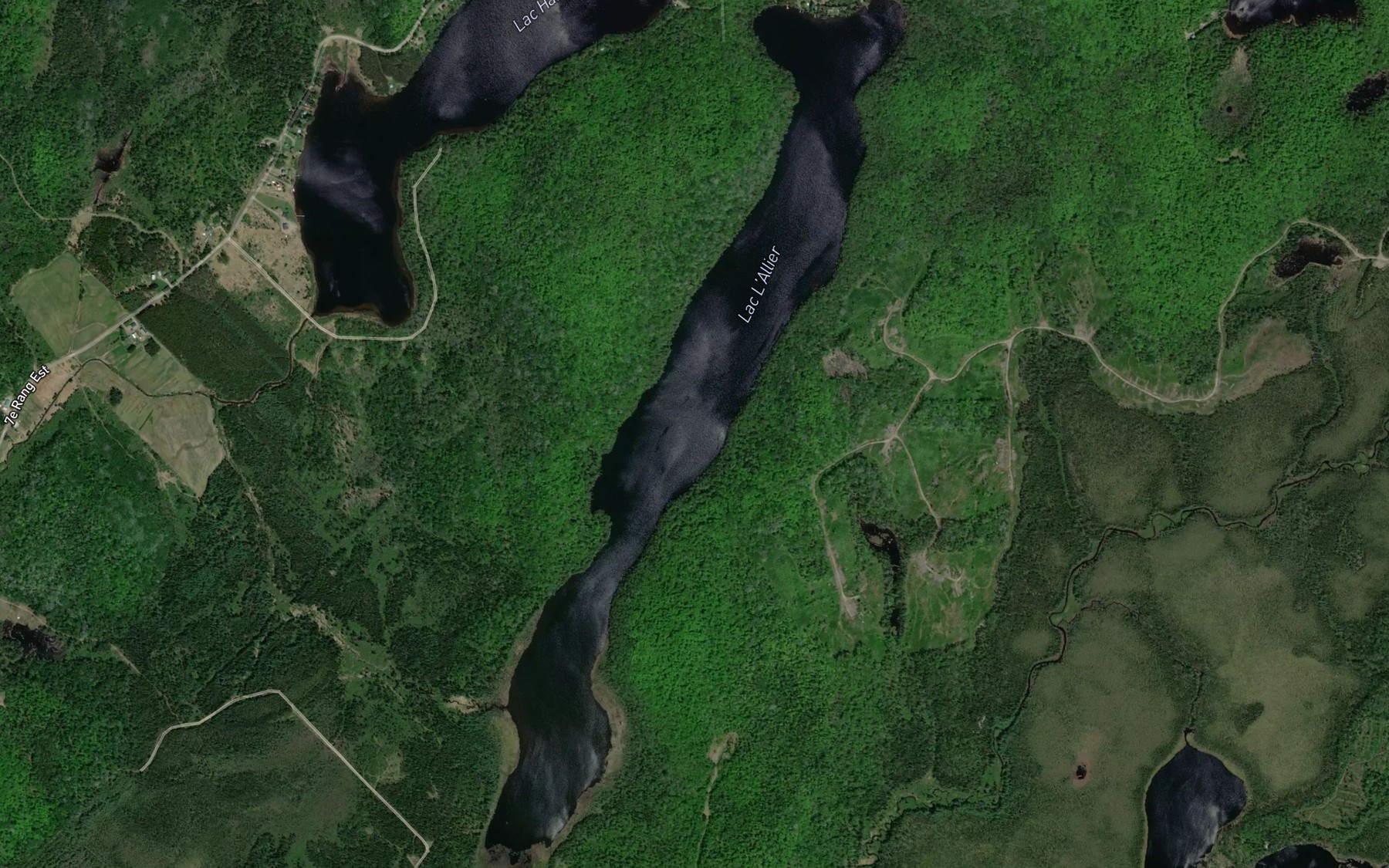 Satellite map of the Lac L'Allier