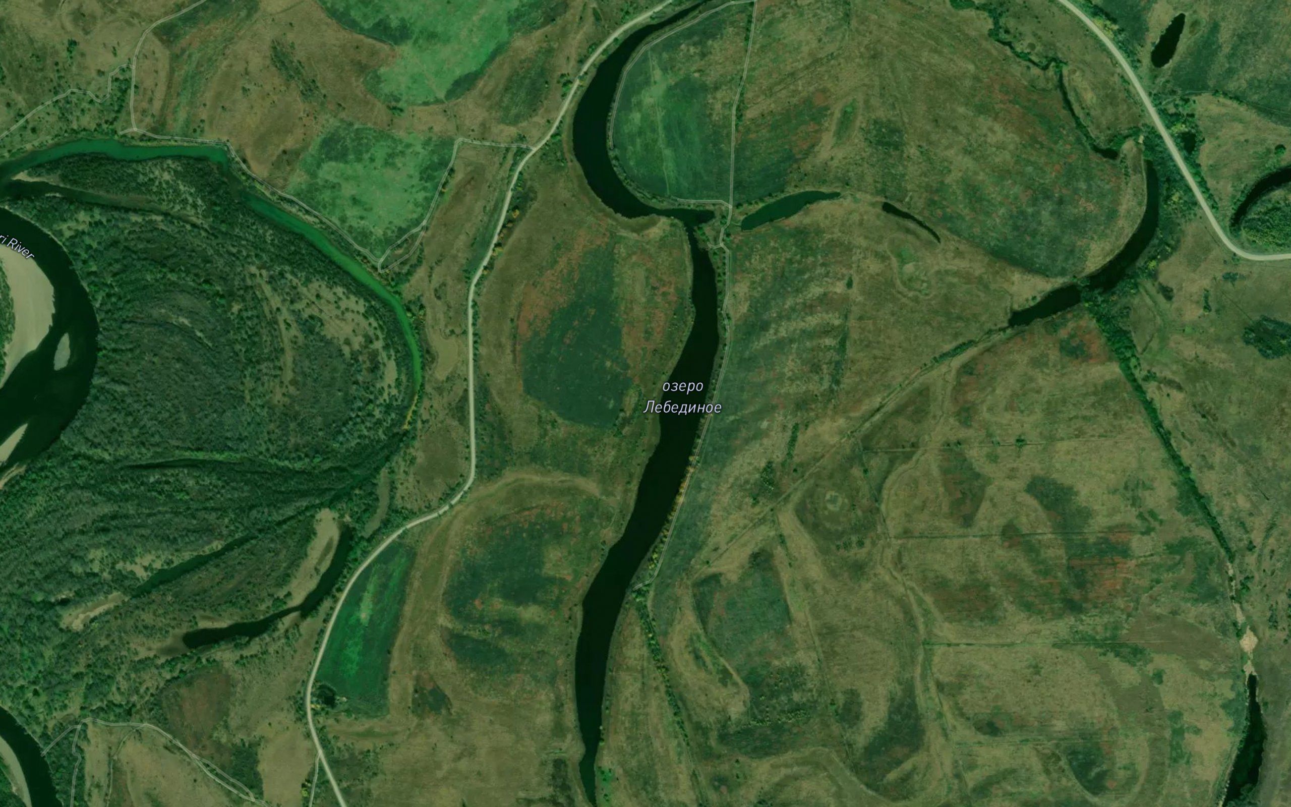 Ozero Lebedinoye