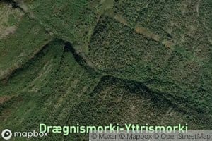 Lonningagrovi