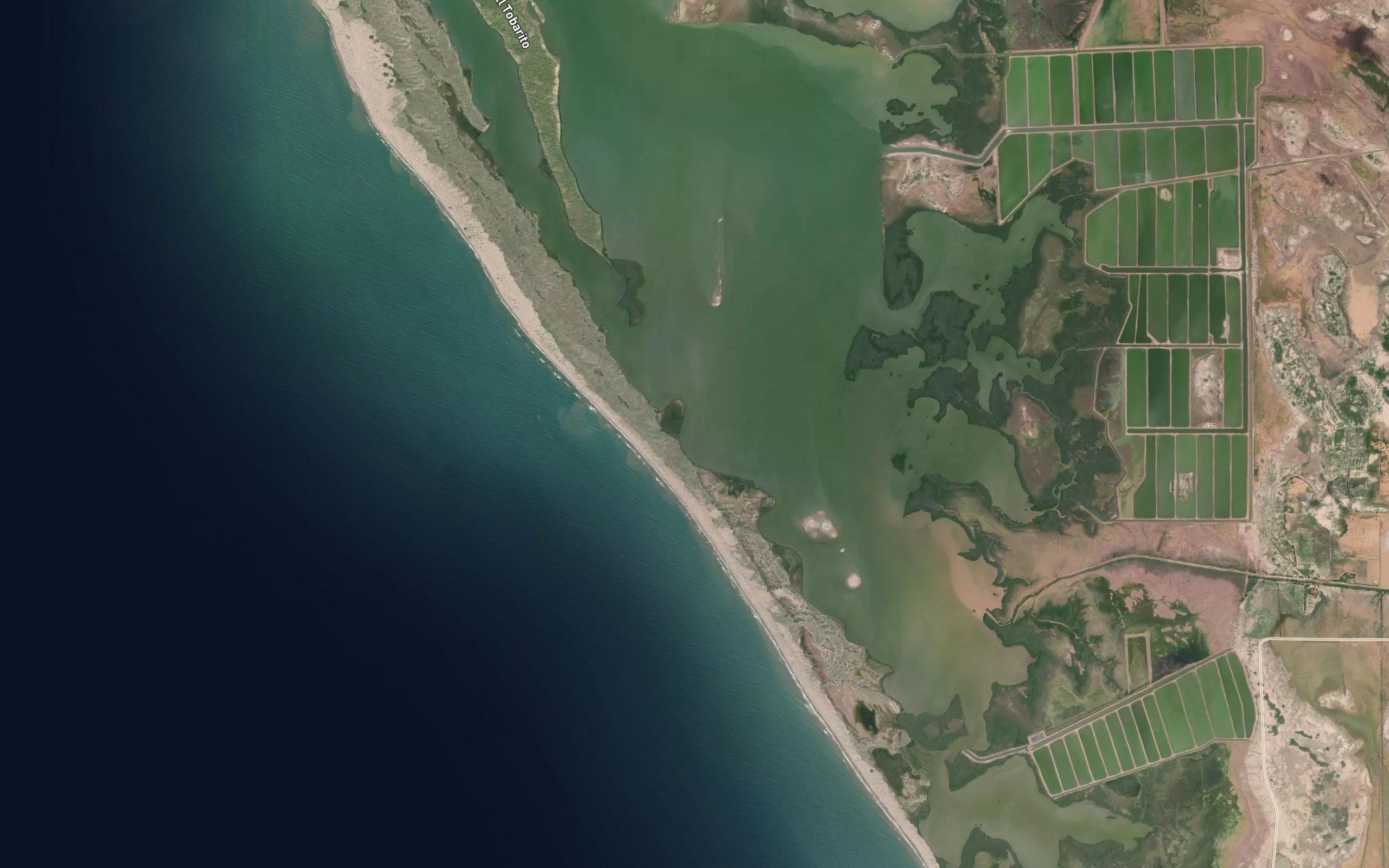 Estero Burabampo