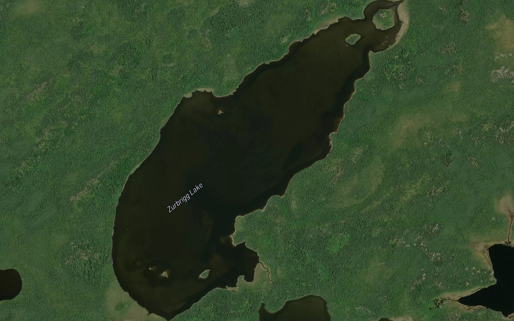 Satellite map of the Zurbrigg Lake